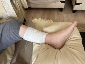 AKSARAY (AA) – Aksaray Belediyesi sınırlarında 4 sahipsiz köpeğin saldırısına