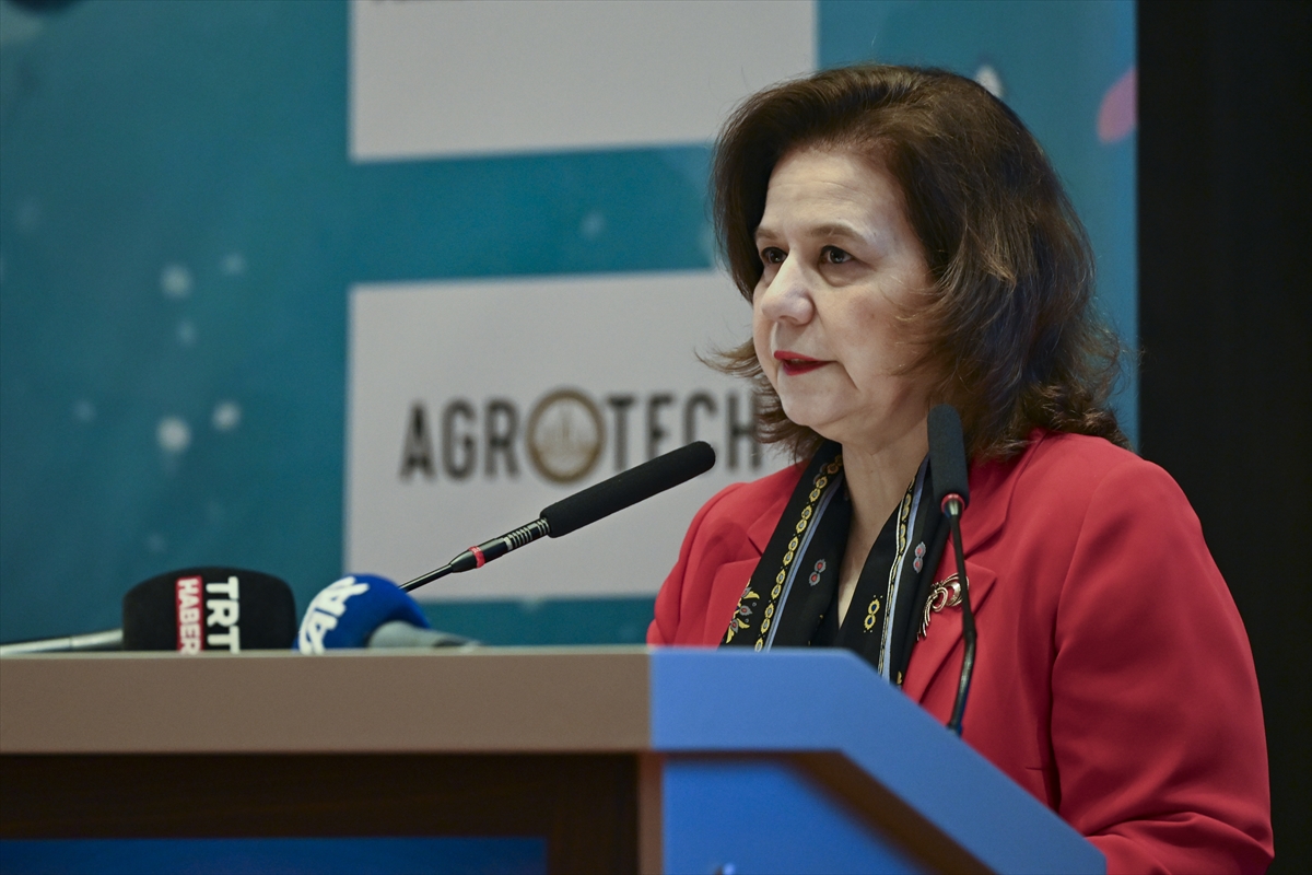 Ankara'da “Blue Talks: Değişimin İçinde UNOC-3'e Giden Yol” paneli düzenlendi