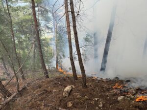 ANTALYA (AA) – Antalya'nın Kumluca ilçesinde çıkan orman yangını, havadan