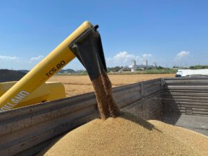 - Tarım ve Orman Müdürlüğü ekipleri, dane kaybı yaşanmaması için