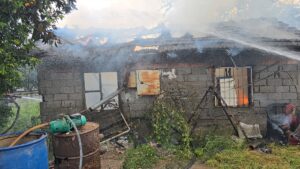 ANTALYA (AA) – Antalya'nın Kumluca ilçesinde müstakil evde çıkan yangın