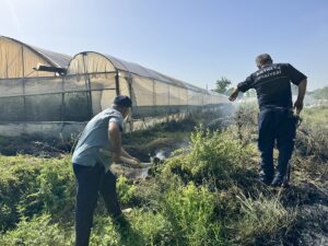 ANTALYA (AA) – Antalya'nın Muratpaşa ilçesinde ormanlık ve sazlık alanda
