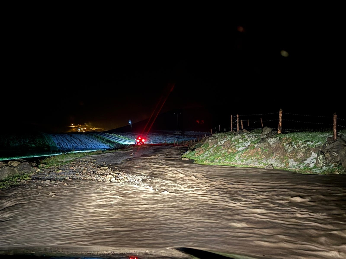 Ardahan'da sel 2 köyde hasara yol açtı