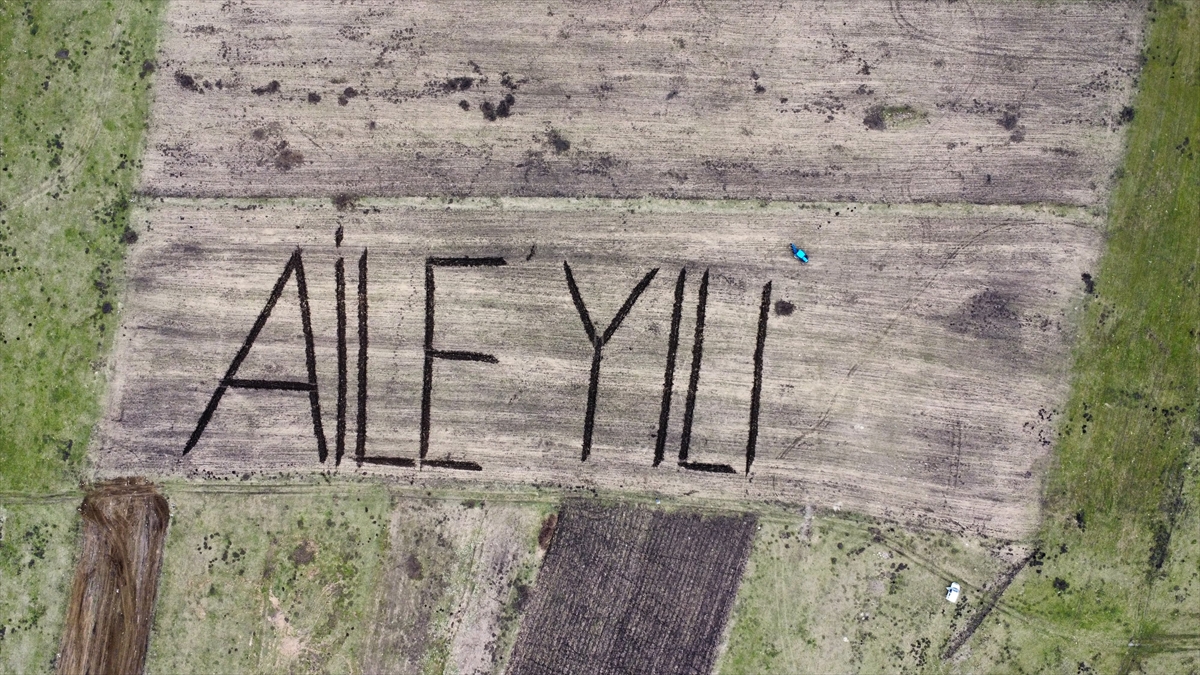 Ardahanlı çiftçi tarlasına traktörüyle “Aile Yılı” yazdı