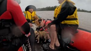 ANKARA (AA) – Avustralya'nın doğusundaki New South Wales (NSW) eyaletinde