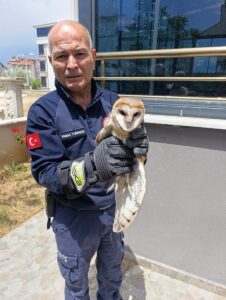 BALIKESİR (AA) – Balıkesir'in Burhaniye ilçesinde, balkon pervazına takılarak yaralanan