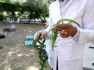 - Öğrenciler, iplerle masa örtüsü, önlük, oyuncak bebek ve çeşitli