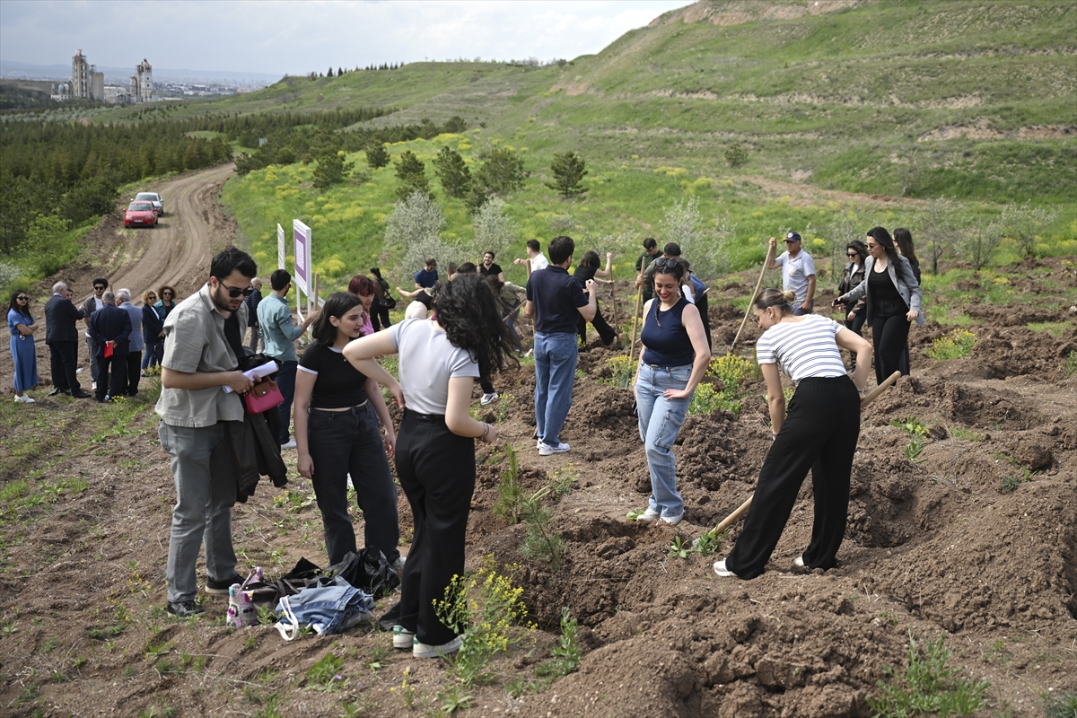Başkentte şiddete uğrayan kadınların anısına 2 bin fidan dikildi