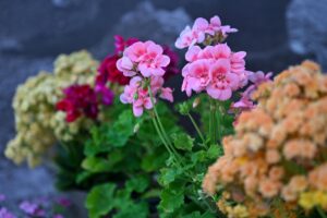 ANTALYA (AA) – Batı Akdeniz Tarımsal Araştırma Enstitüsü Müdürlüğü (BATEM)