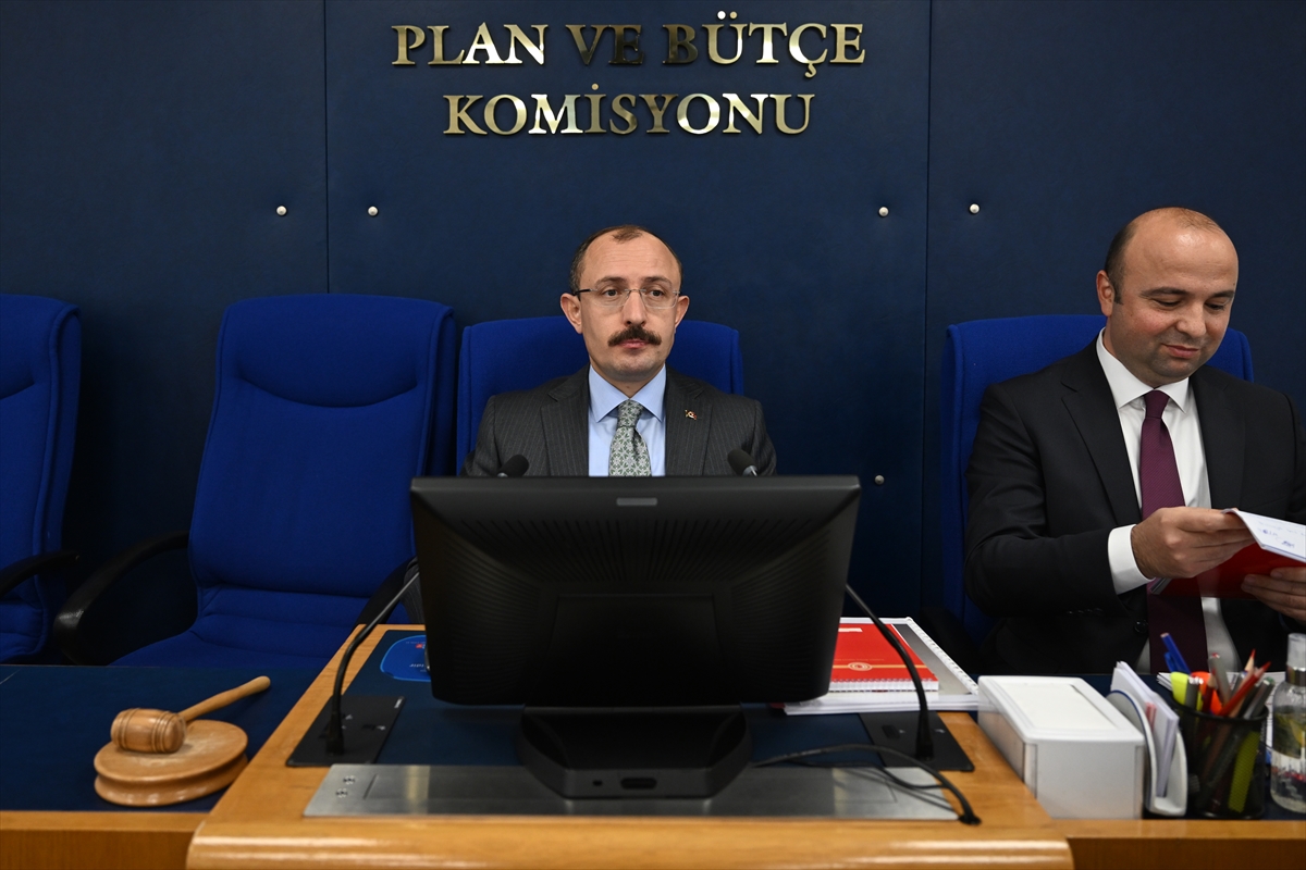 Bazı kanunlar ile 660 sayılı KHK'de değişiklikler içeren kanun teklifi TBMM Plan ve Bütçe Komisyonunda