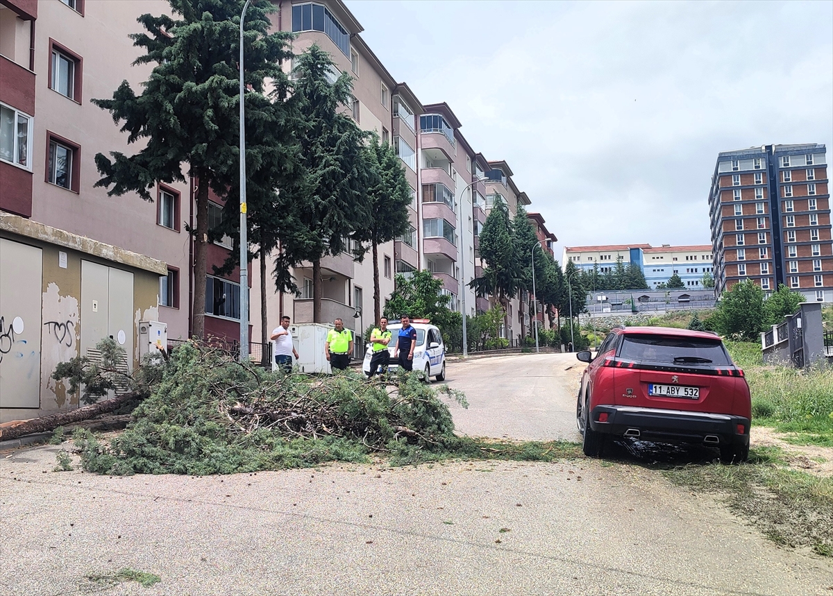 Bilecik'te sağanak ve fırtına etkili oldu