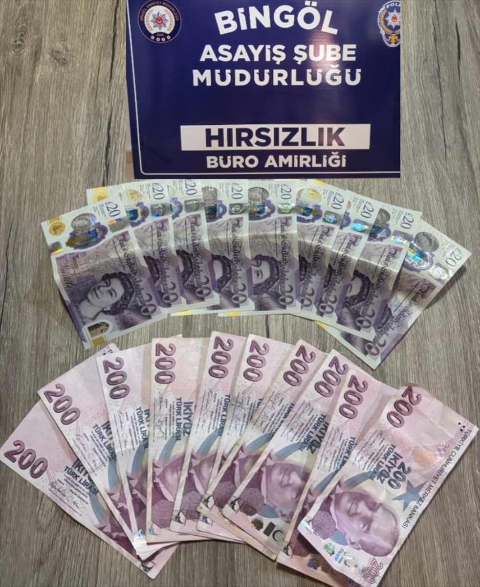 Bingöl'de hırsızlık zanlısı tutuklandı