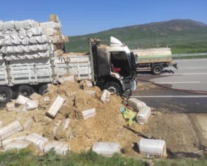 BİNGÖL (AA) – Bingöl'ün Karlıova ilçesinde saman yüklü kamyonda çıkan