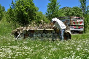 BİTLİS (AA) – Bitlis'te üretilen bal, Fransa'nın başkenti Paris'te düzenlenen