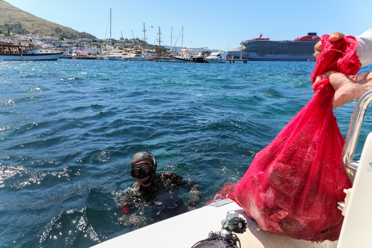 Bodrum'da deniz dibi temizliği yapıldı