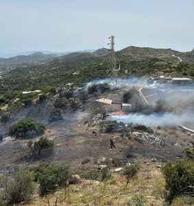 MUĞLA (AA) – Muğla'nın Bodrum ilçesinde, yerleşim yeri yakınlarında çıkan