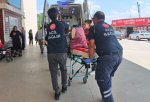 BURSA (AA) – Bursa'nın İnegöl ilçesinde, apartmanın duvarına tırmanmaya çalışırken