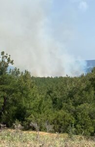 ÇANAKKALE (AA) – Çanakkale'nin Ezine ilçesinde arazide başlayıp ormana sıçrayan