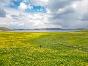 VAN (AA) – Van'ın Gürpınar ilçesinde Erek Dağı eteklerinde bulunan