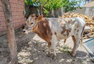 - Kaybolduğu mahalleden 5 kilometre uzaklıktaki kırsal Güzelköy Mahallesi'nde bir