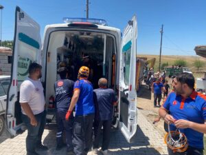 DİYARBAKIR (AA) – Diyarbakır'ın merkez Sur ilçesinde, düştüğü çukurda sıkışan