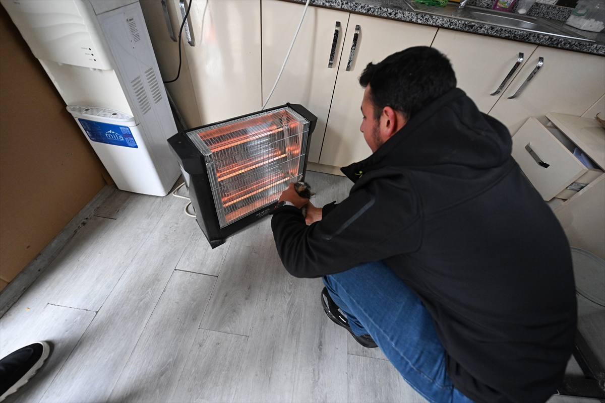 Düzce'de dereden kurtarılan kedi yavrusunu taksici sahiplendi