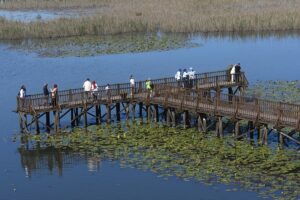 DÜZCE (AA) – Düzce'nin Gölyaka ilçesinde yer alan ve 22