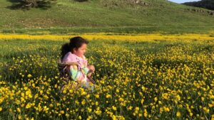 SİVAS (AA) – Sivas'ın Koyulhisar ilçesinde doğası ve temiz havasıyla