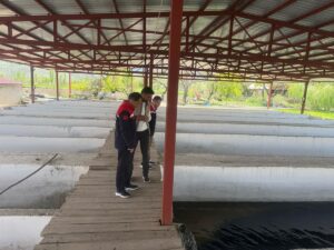 ERZİNCAN (AA) – Zengin su kaynakları sayesinde balık yavrusu yetiştiriciliğinde