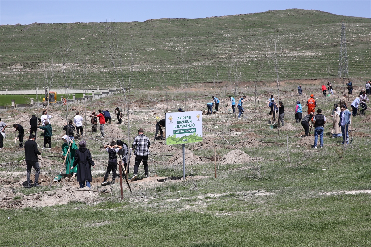 Erzurum'da fidanlar AK Parti'nin eş zamanlı organizasyonuyla toprakla buluştu