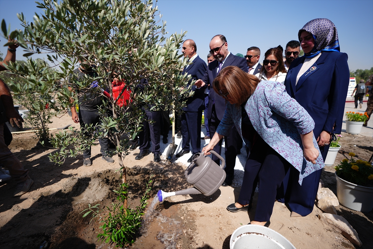 Gaziantep Büyükşehir Belediyesi, Bağdat'a 5 bin zeytin ve incir fidanı hediye etti