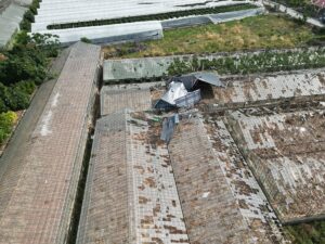 ANTALYA (AA) – Antalya'nın Gazipaşa ilçesinde hortumun zarar verdiği seralarda