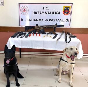 HATAY (AA) – Hatay'ın İskenderun ilçesinde düğünlerde havaya ateş açtıkları