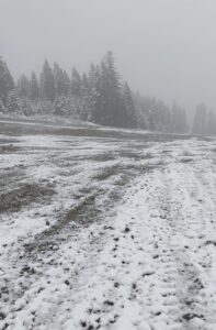 ÇANKIRI (AA) – Çankırı'nın Ilgaz ilçesinde bulunan Ilgaz Dağı'nın eteklerine