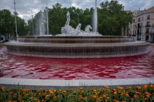 MADRİD (AA) – Çevre örgütü Greenpeace'e bağlı bir grup aktivist,