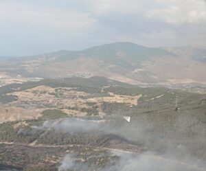 İZMİR (AA) – İzmir'in Aliağa ilçesinde ormanlık alanda çıkan yangına