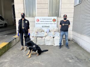 EDİRNE (AA) – Edirne'de Kapıkule Sınır Kapısı'nda düzenlenen operasyonda 49