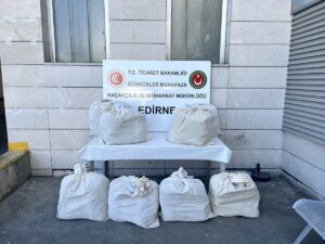 EDİRNE (AA) – Kapıkule Sınır Kapısı'nda X-ray taramasından geçirilen otobüste