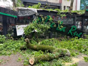 KOCAELİ (AA) – Kocaeli'nin İzmit ilçesinde sağanak ve şiddetli rüzgar