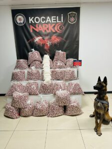 KOCAELİ (AA) – Kocaeli'nin Gebze ilçesinde durdurulan tırda 397 bin