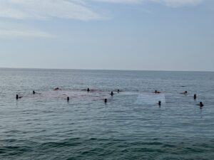 ANTALYA (AA) – İnsan Hak ve Hürriyetleri (İHH) İnsani Yardım