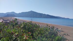 MUĞLA (AA) – Muğla'nın Ortaca ilçesindeki İztuzu Sahili'nde nesli tükenme