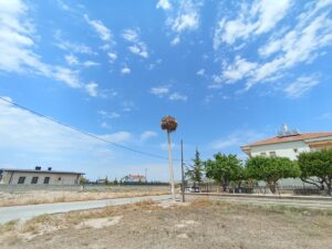 NEVŞEHİR (AA) – Nevşehir'in Gülşehir ilçesinde elektrik direği yenileme çalışmaları