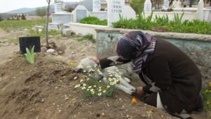 NEVŞEHİR (AA) – Nevşehir'in Derinkuyu ilçesinde "Garip" adlı köpek, 1