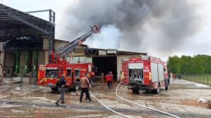 SAKARYA (AA) – Sakarya'nın Karasu ilçesindeki fındık kırım fabrikasında çıkan