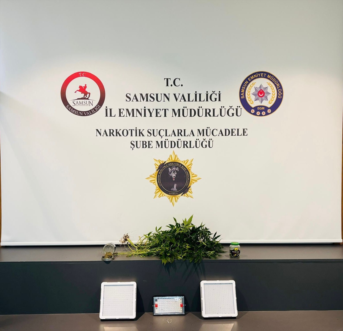Samsun'da evde kurdukları serada kenevir yetiştiren 2 kişi gözaltına alındı