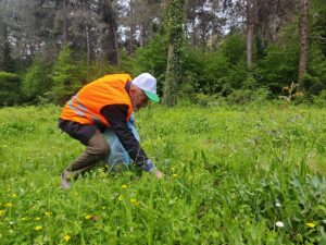 SAMSUN (AA) – Tarım ve Orman Bakanlığı tarafından 81 ilde