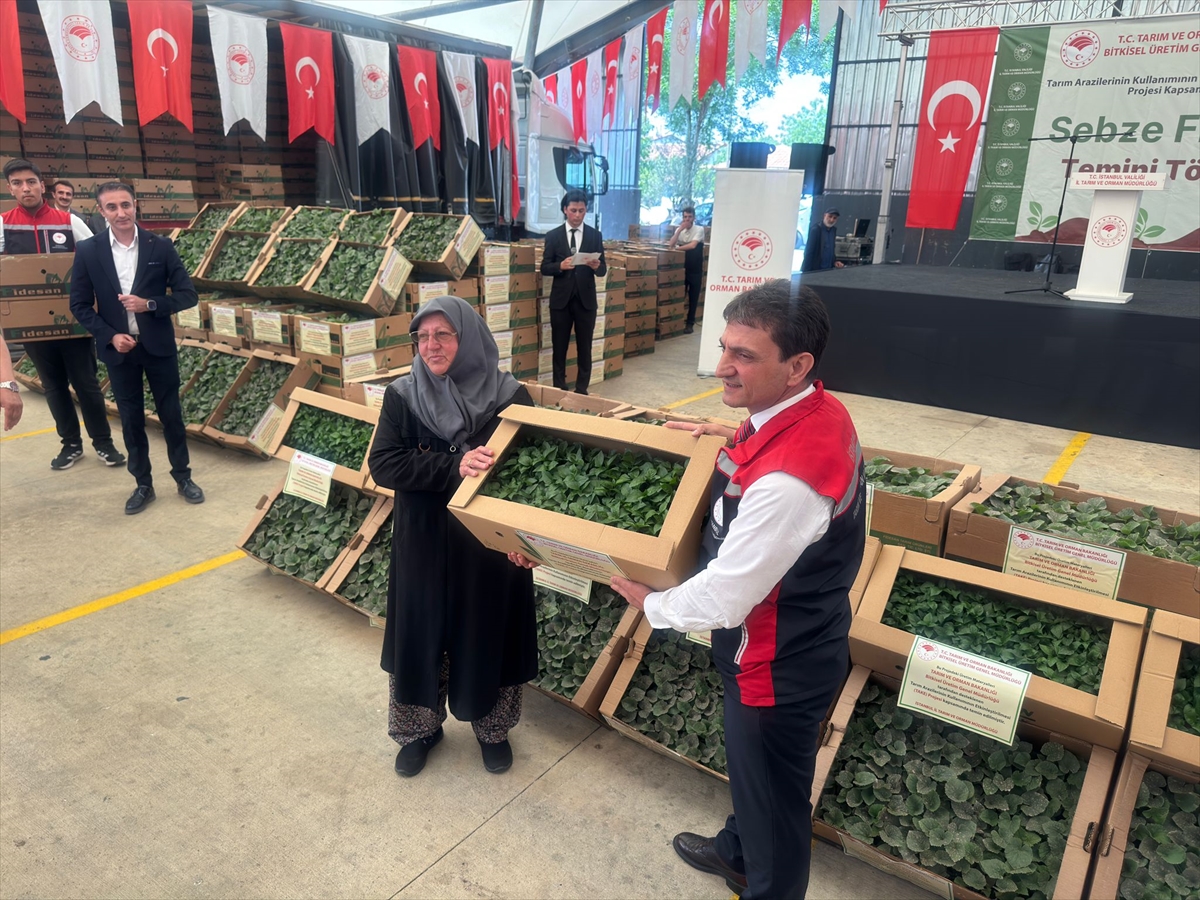 Silivri'de 1153 çiftçiye 740 bin sebze fidesi dağıtıldı
