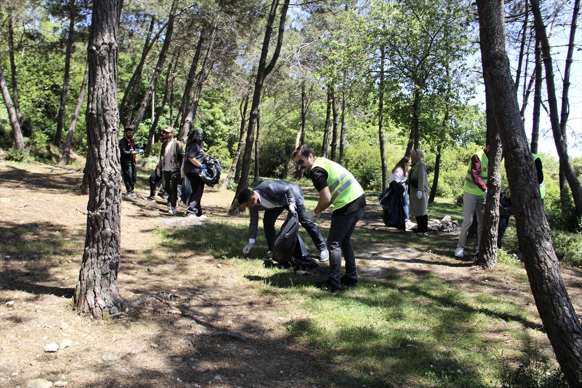 Sinop'ta denizle ormanın birleştiği Hamsilos Tabiat Parkı'nda çevre temizliği yapıldı