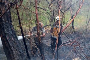 BAYIRBUCAK (AA) – Suriye'nin Lazkiye iline bağlı Bayırbucak bölgesinde 5